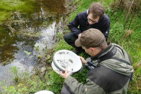 Fachleute untersuchen die Tier- und Pflanzenwelt im Nationalpark.