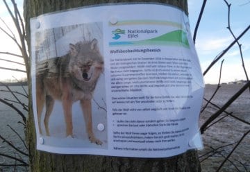 Fake-News zum Wolf: Polizei veröffentlicht Zeugenaufruf
