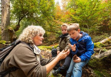 Familientage und Waldführertouren