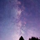 Foto: Harald Bardenhagen