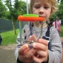 Foto: M. Schlüter / Nationalparkverwaltung Eifel