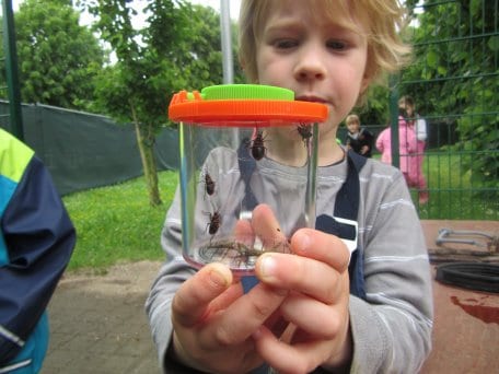 Foto: M. Schlüter / Nationalparkverwaltung Eifel