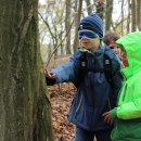 Foto: M. Weisgerber / Nationalparkverwaltung Eifel