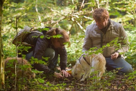 Foto: Nationalparkverwaltung Eifel / A. Pardey