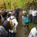 Foto: Nationalparkverwaltung Eifel/M. Weisgerber