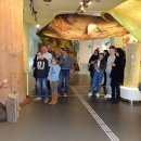 Foto: P. Beckers / Nationalparkverwaltung Eifel