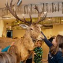 Foto: R. Hövel / Vogelsang IP