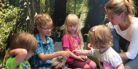 Foto: S. Kirch / Nationalparkverwaltung Eifel