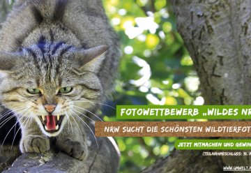 Fotowettbewerb &quot;Wildes NRW&quot; - Einsendeschluss am 31. August