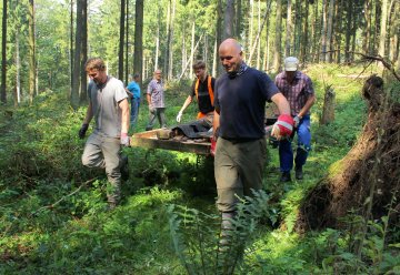 Freiwillige mit dem Bergwaldprojekt e.V. im Einsatz für den Naturschutz im Nationalpark Eifel