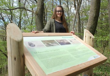 Gemünd: Neue Info-Tafel zur Kaisereiche aufgestellt