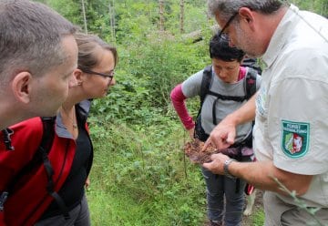 Gerne geben die Mitarbeiter der Nationalparkverwaltung ihr Wissen auch an Multiplikatoren weiter.