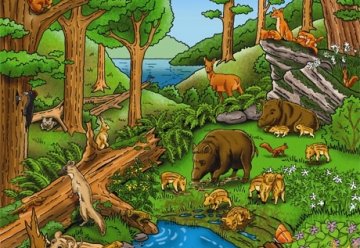 Gewimmel im Nationalpark Eifel (14. Dezember 2007)