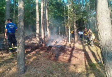 Große Gefahr von Waldbränden im Nationalpark Eifel