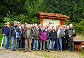 Großer Fokus auf kleinen Schmetterlingen