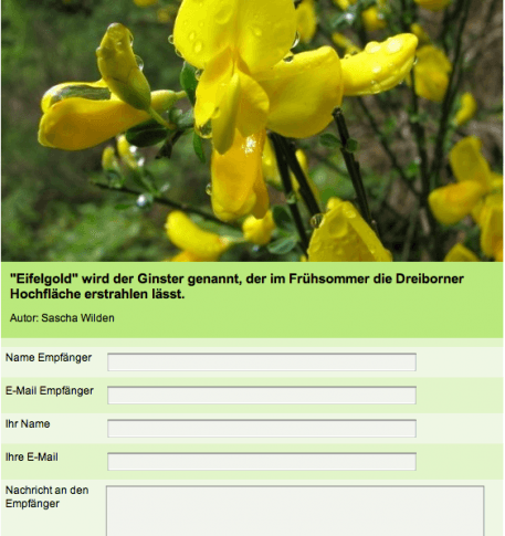 Grüße erreichen Ihre Freunde und Verwandte per E-Card schnell und unkompliziert.