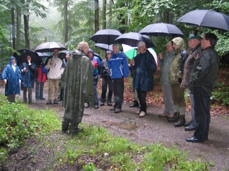 Henning Walter, Leiter der Nationalparkverwaltung Eifel, erläutert dem Landeskabinett NRW die Rückentwicklung zum ursprünglichen Buchennaturwald im Nationalpark Eifel