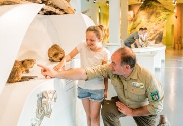 Herbstlicher Ferienspaß in den „Wildnis(t)räumen“