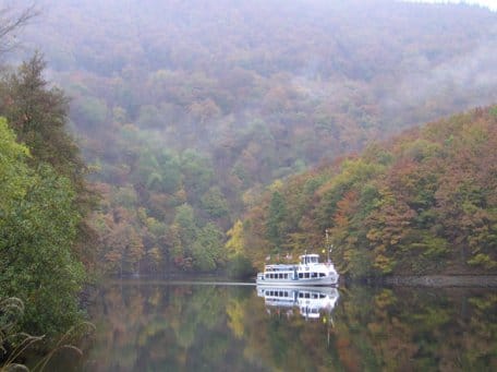 Herbstwald am Obersee im Nationalpark Eifel. Ein Bild von Nationalpark-Ranger Sascha Wilden.