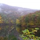 Herbstwald am Obersee im Nationalpark Eifel. Ein Bild von Nationalpark-Ranger Sascha Wilden.