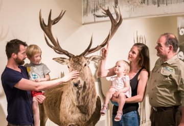 Hirsche: Große Kämpfer oder sanfte Riesen?