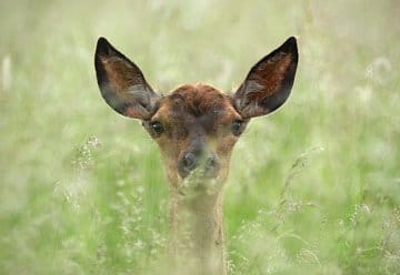 Huch, wie sieht es denn hier aus?