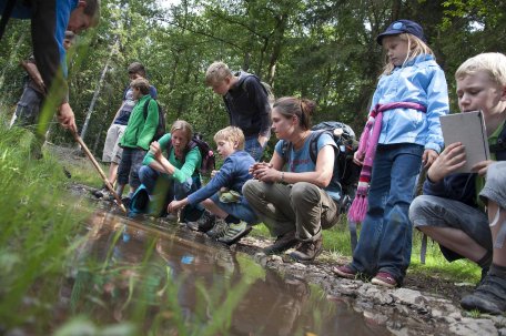 Im Rahmen des Aktionstages &quot;Zu Gast in der eigenen Heimat&quot; findet eine Führung mit Junior Rangern statt. Foto: Guido Priske