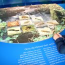 Im Sommerhalbjahr kamen mehr als 70.000 Besucher in die Nationalpark-Tore in Simmerath-Rurberg, Schleiden-Gemünd und Heimbach. (Quelle: T. Geschwind)