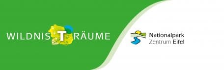 Im neu eröffneten Nationalpark-Zentrum in Vogelsang IP erwartet Sie die große Erlebnisausstellung „Wildnis(t)räume“.