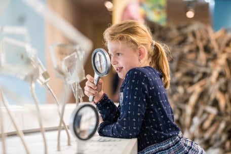 In der Erlebnisausstellung werden die großen und kleinen Besucher selbst zu Entdeckern.