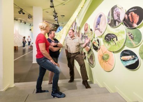 In der Nationalpark-Ausstellung „Wildnis(t)räume“ finden wieder Führungen mit dem Ranger und Programme statt. (Archivfoto)
