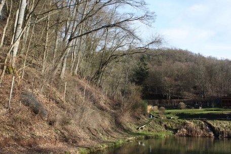 In unmittelbarer Grenze zu den beiden Fischteichen des Sportfischereiverein Gemünd 1962 überragen Äste an einigen Stellen die Zäune der Wasseranlage.
