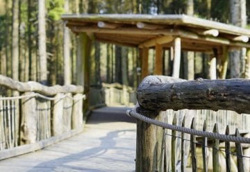 Instandsetzung: &quot;Der Wilde Weg&quot; zeitweise gesperrt