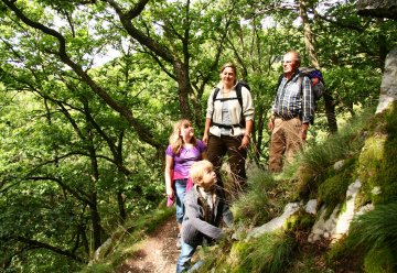 Jetzt: Wildnis-Trail zum UN-Dekadeprojekt des Monats wählen