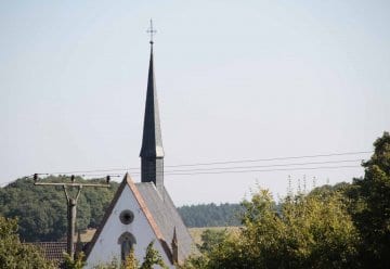 KEV baut Freileitungen im Nationalpark Eifel zurück
