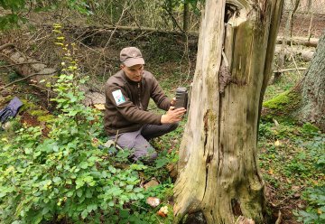 KI revolutioniert Forschung in Schutzgebieten: Neue Ära im Nationalpark-Monitoring