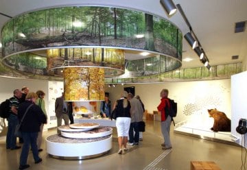 Karnevalsaktion: Nationalpark-Zentrum Eifel verlost Preis unter Wildnis(t)räumern