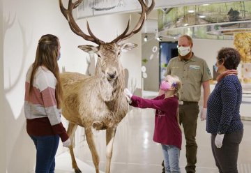 Kleine Auszeit für von Flut betroffene Familien in Erlebnisausstellung „Wildnis(t)räume“
