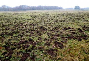 Kurzzeitige Sperrung der L218 zwischen Nideggen-Schmidt und Heimbach-Hasenfeld