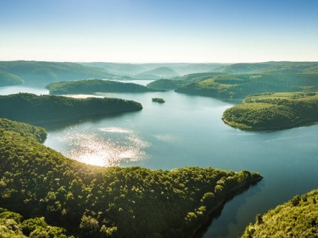 L'univers animal et végétal des retenues d’eau est particulièrement diversifié.