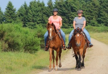 L’administration du Parc National a aménagé pour eux 65 kilomètres de pistes praticables à cheval.