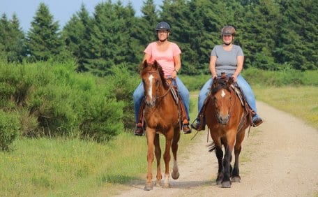 L’administration du Parc National a aménagé pour eux 65 kilomètres de pistes praticables à cheval.