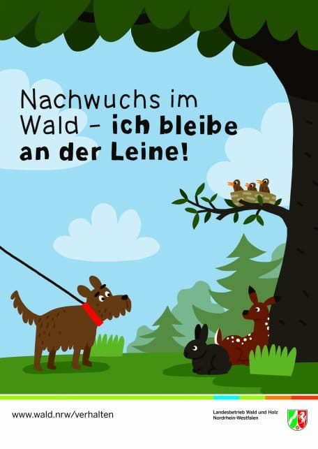 Leinen an statt "Leinen los" - das ist das Motto für Hundehalter, die im Nationalpark Eifel unterwegs sind.