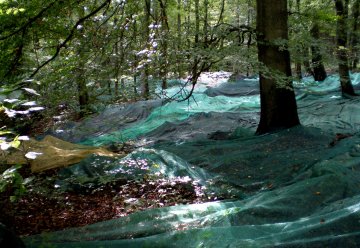 Leise rieseln die Eckern (24. September 2007)