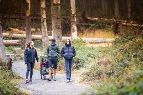 Les chemins plats mènent à travers les forêts mixtes de hêtres.