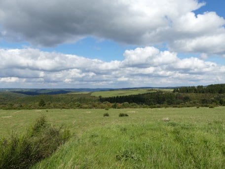 Les prairies sont des étendues d’herbe à couper et des prés où sont installés des moutons ou des bovins. 