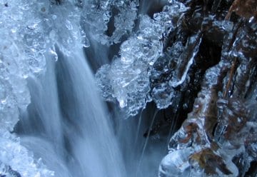 Märzprogramm im Nationalpark Eifel