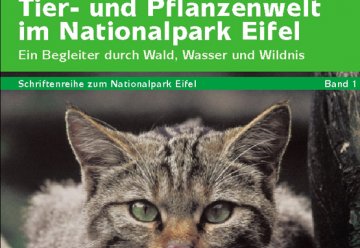 Methusalem der Fließgewässer und sommerliche Musikanten, 2. November 2006