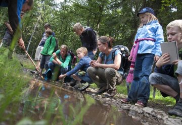 Mit Junior-Rangern auf Entdeckertour im Nationalpark