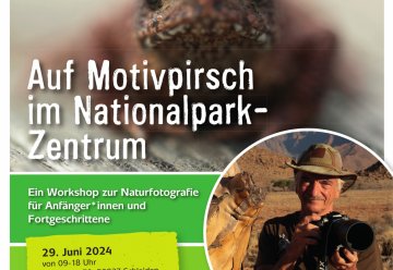 Mit Profifotograf auf Motivsuche in die „Wildnis(t)räume“ im Nationalpark Eifel